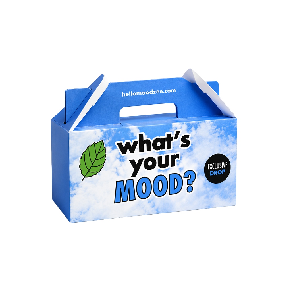 A blue cardboard product box with a handle, printed with the text 'what's your MOOD?' in black and blue, a green leaf icon, and a black circular badge reading 'EXCLUSIVE DROP'. The top flap shows the website 'hellomoodzee.